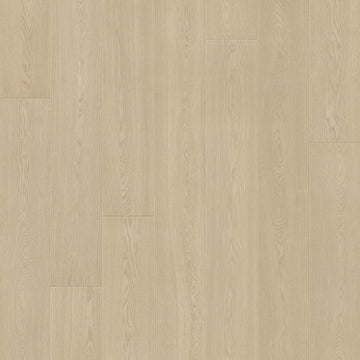 Dąb Gliniasty - Odense