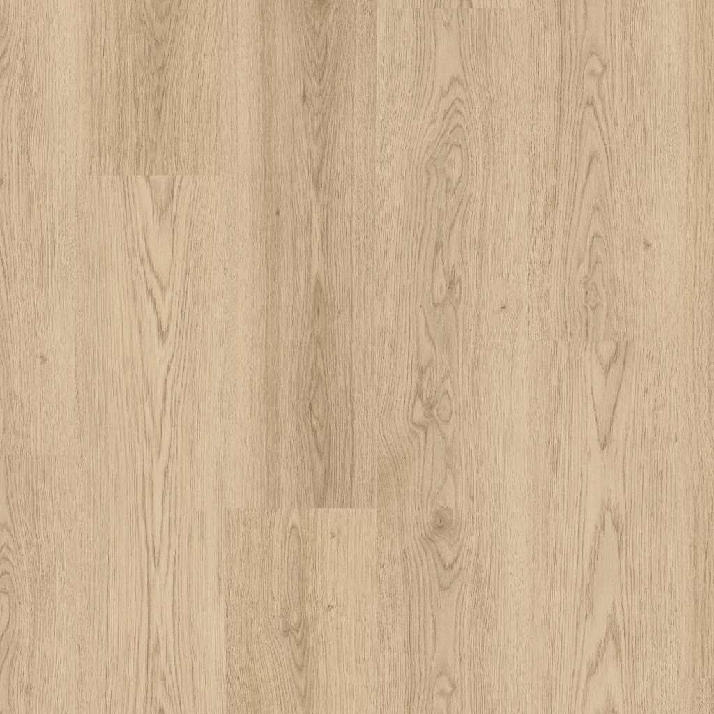 Dąb Rzeczny - Espoo 0V