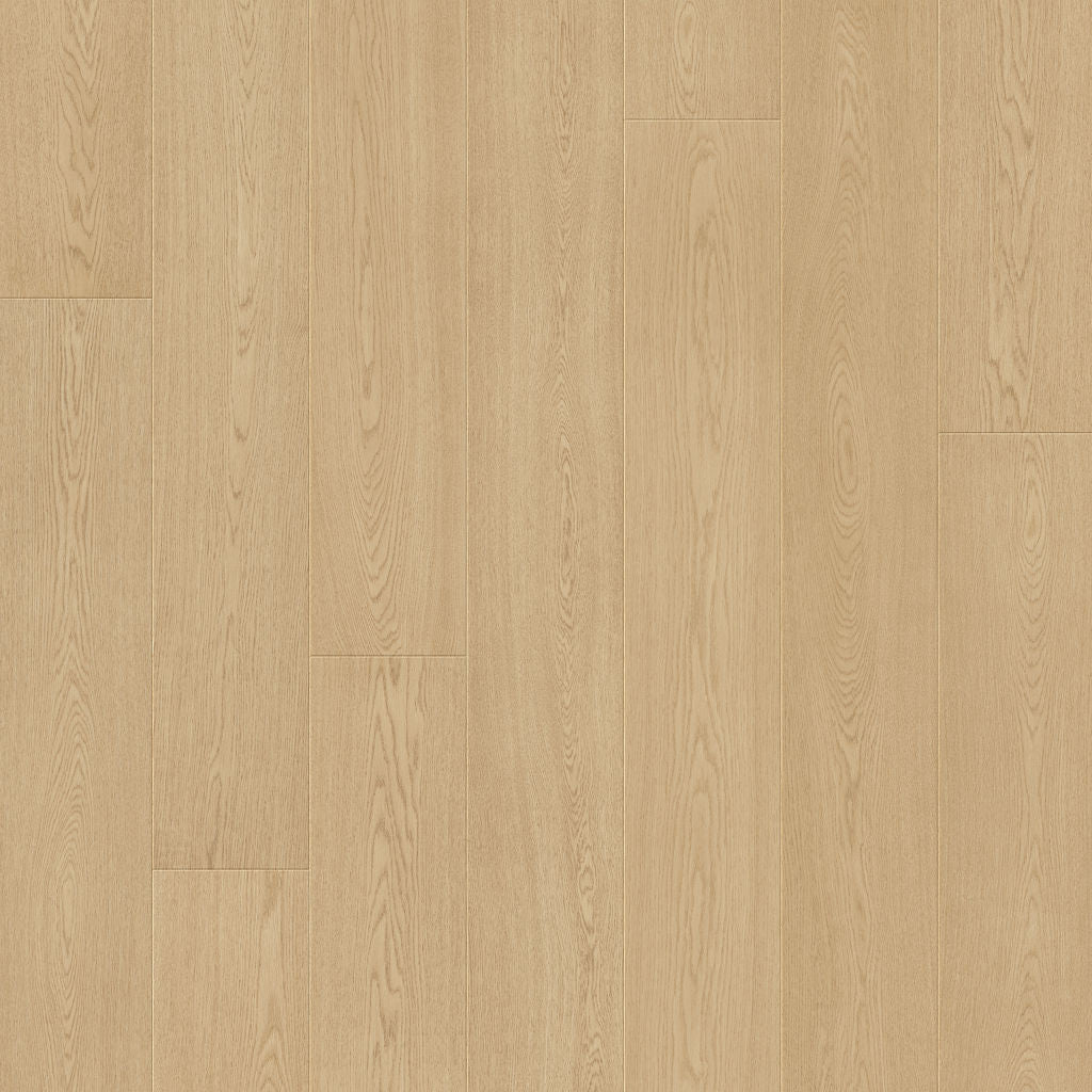 Dąb Owsiankowy - Odense pro