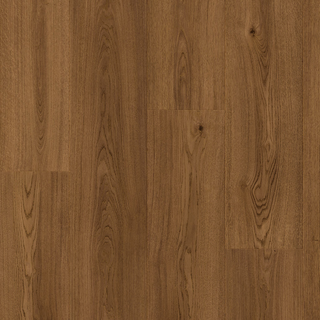 Dąb Kwitnący - Stavanger pro