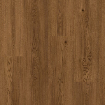 Dąb Kwitnący - Stavanger pro