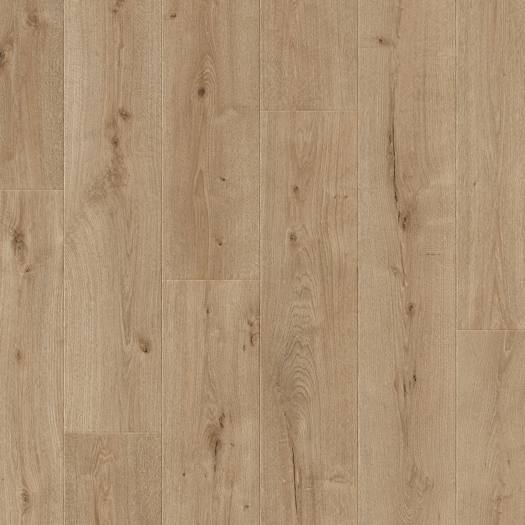 Dąb Tundrowy - Arendal pro