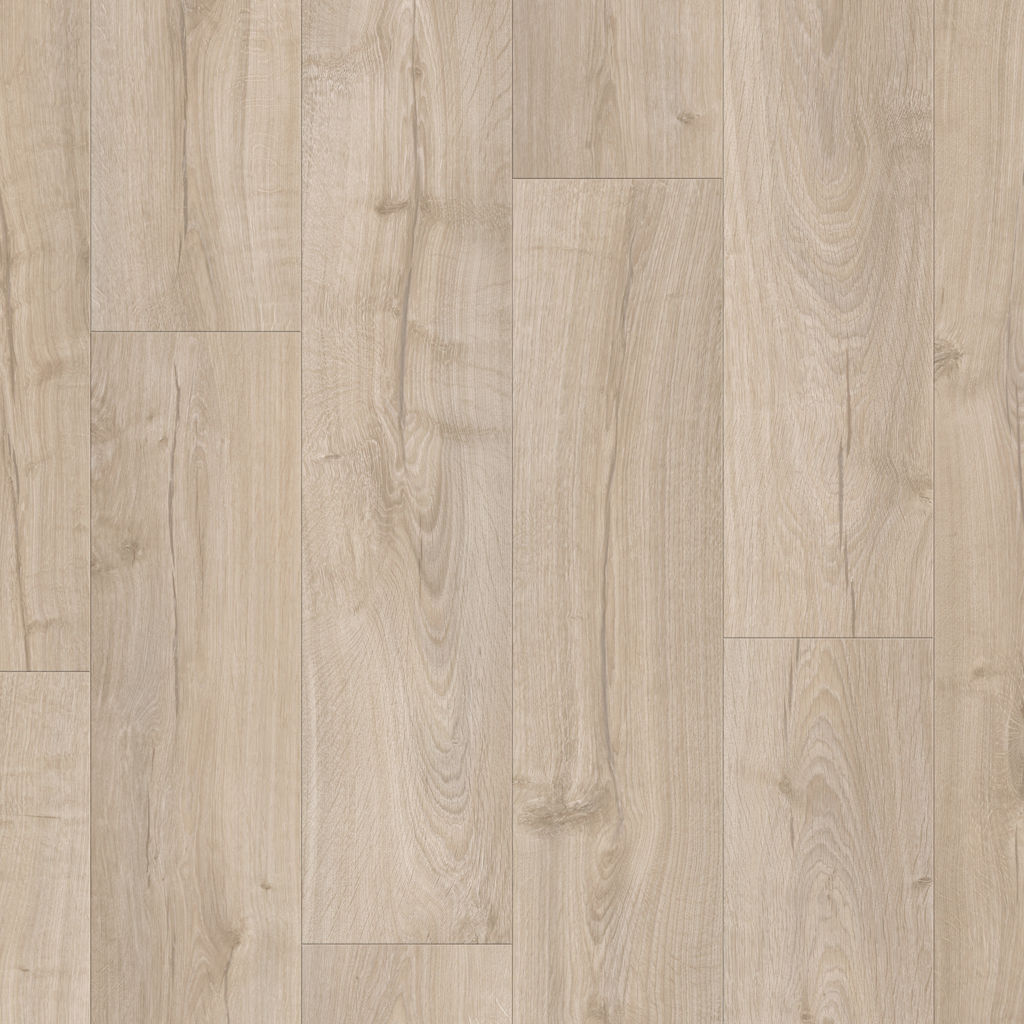 Dąb New England - Visby