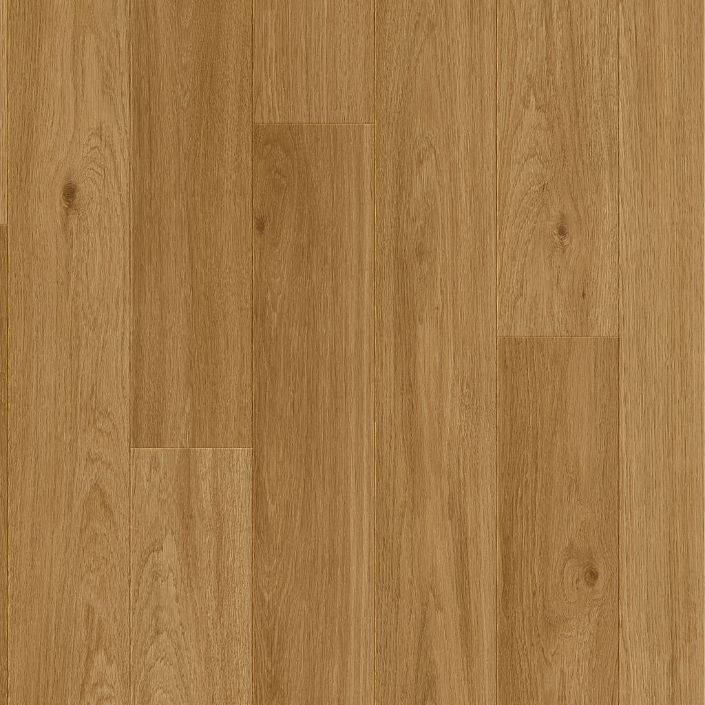 Dąb Wiedeński - Bergen pro