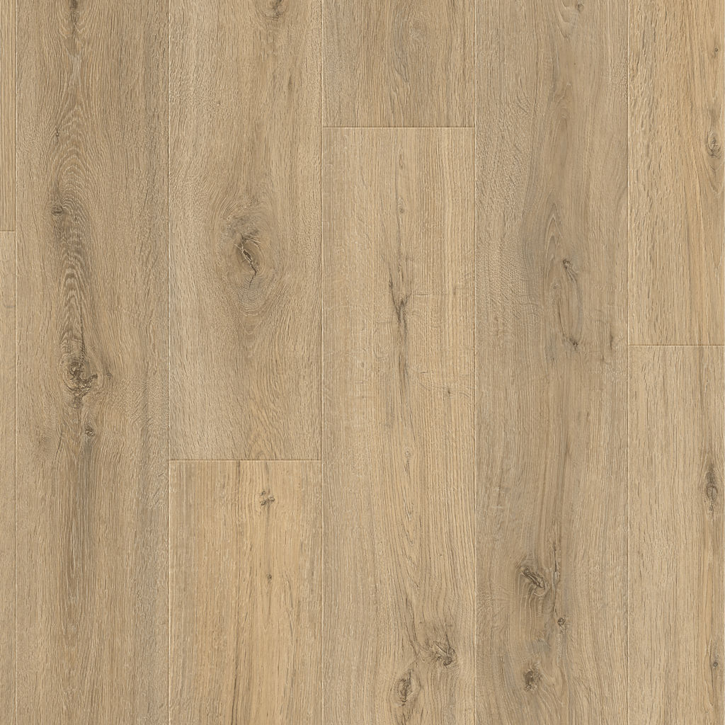 Dąb Cornwall - Drammen