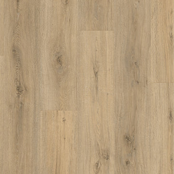 Dąb Cornwall - Drammen