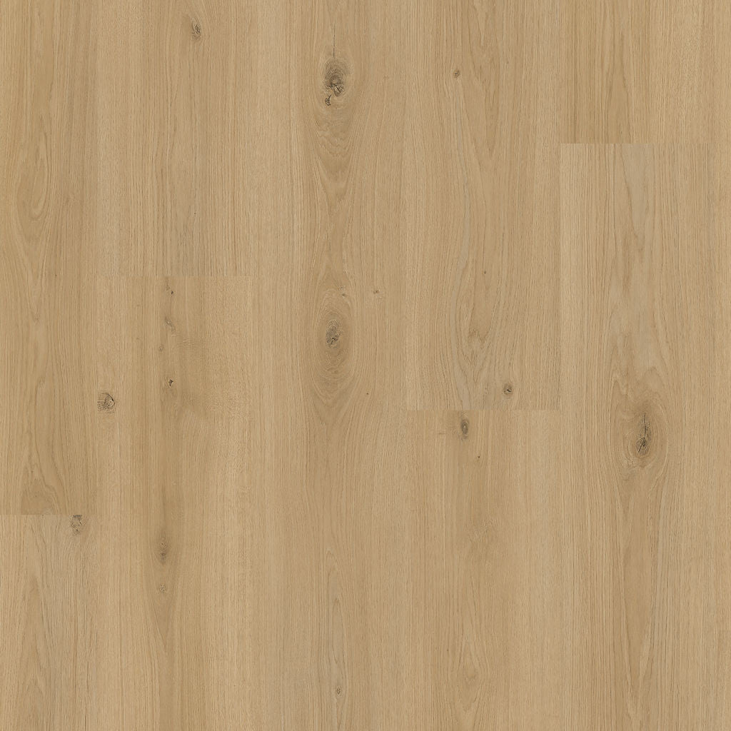 Dąb Winnica - Perstorp