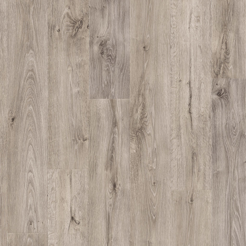 Dąb Stajenny Szary - Arendal