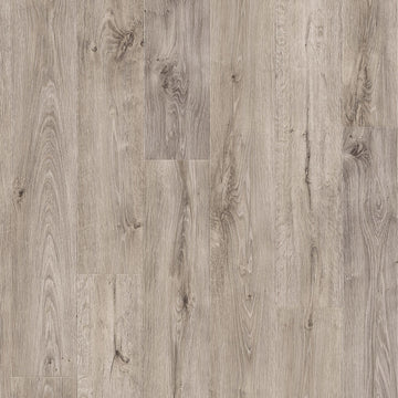 Dąb Stajenny Szary - Arendal