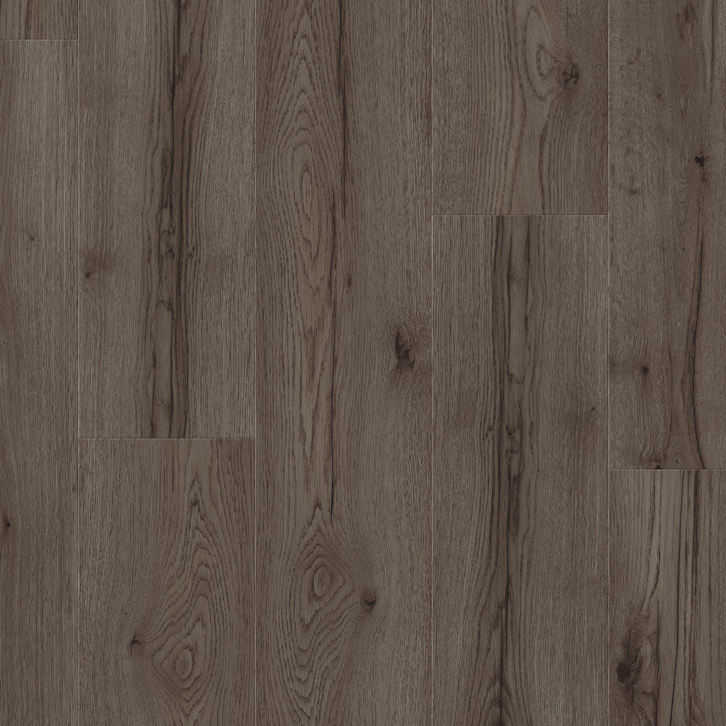 Dąb Skała Rzeczna - Stavanger pro