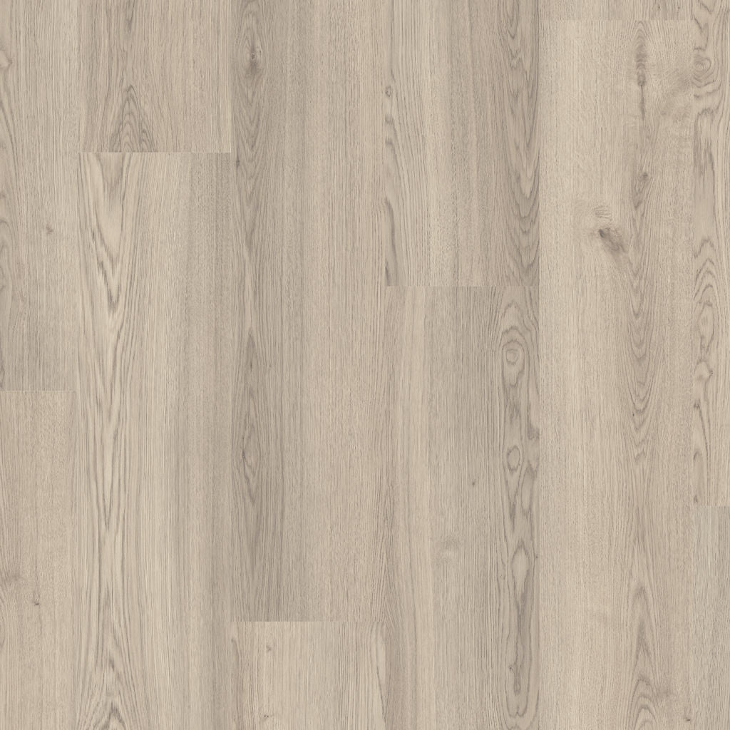 Dąb Nadbrzeżny - Espoo 0V