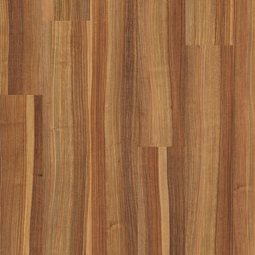 Orzech Wytworny - Arendal