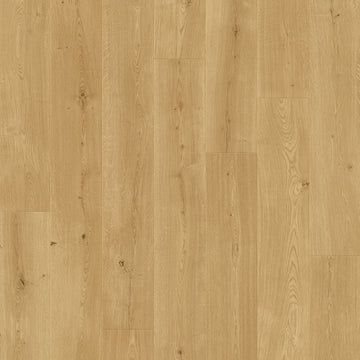 Dąb Wyrazisty - Odense