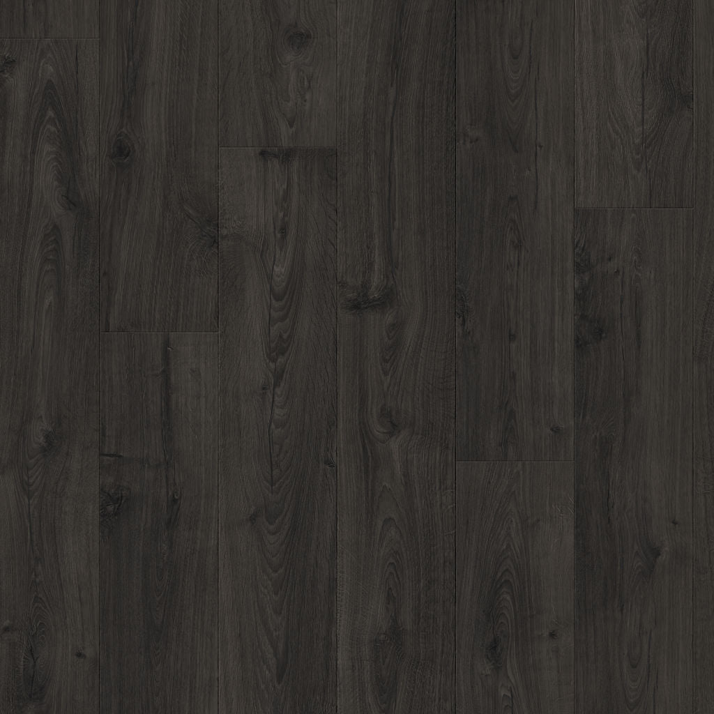 Dąb Czarny Pieprz - Visby pro