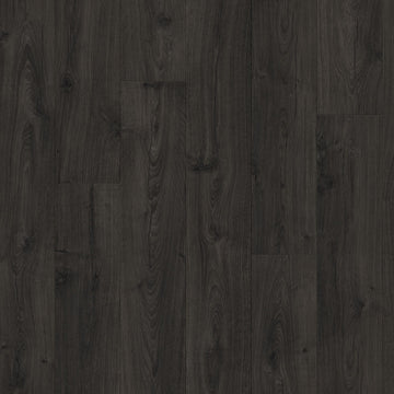 Dąb Czarny Pieprz - Visby pro