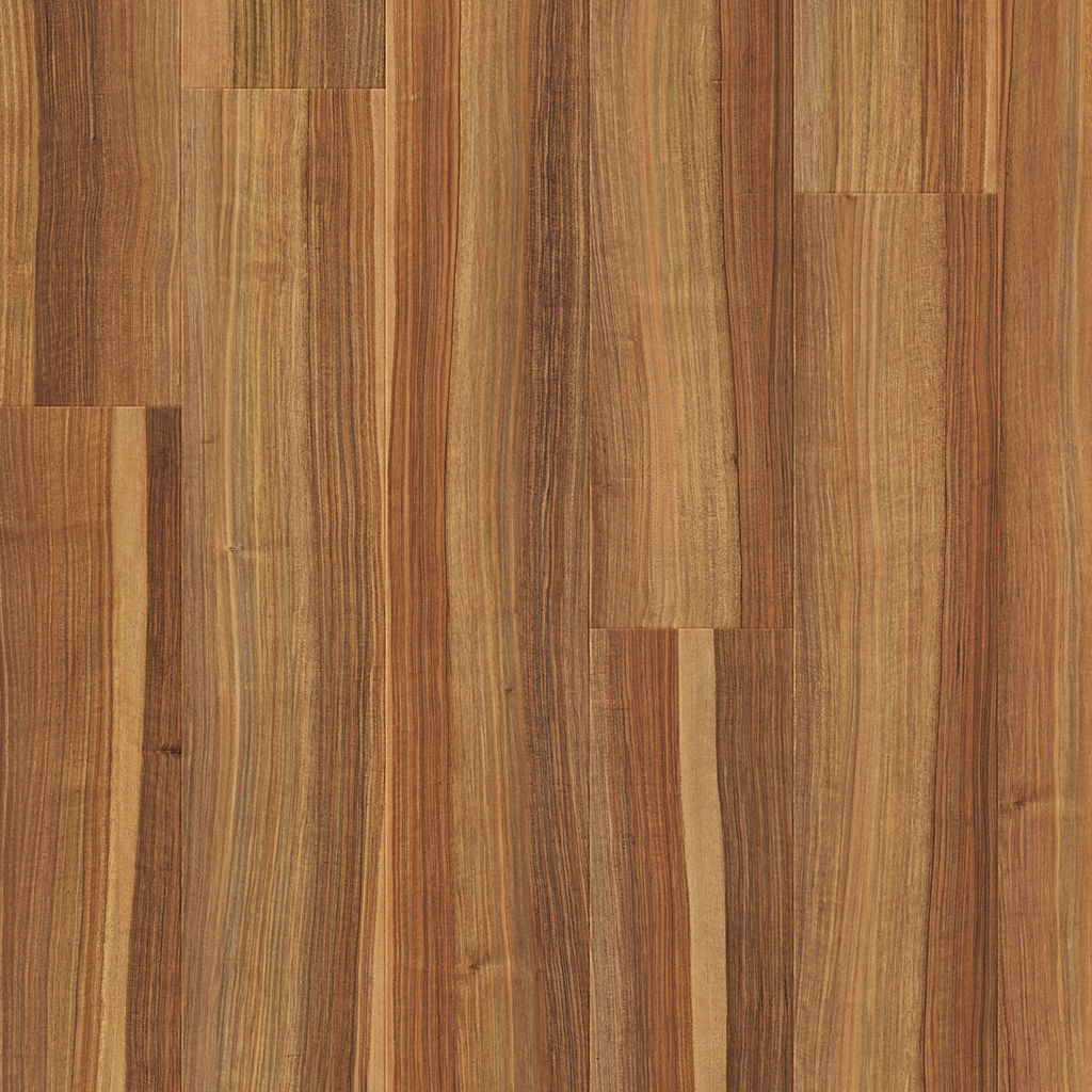 Orzech Wytworny - Arendal pro