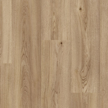 Dąb Klasztorny - Stavanger pro