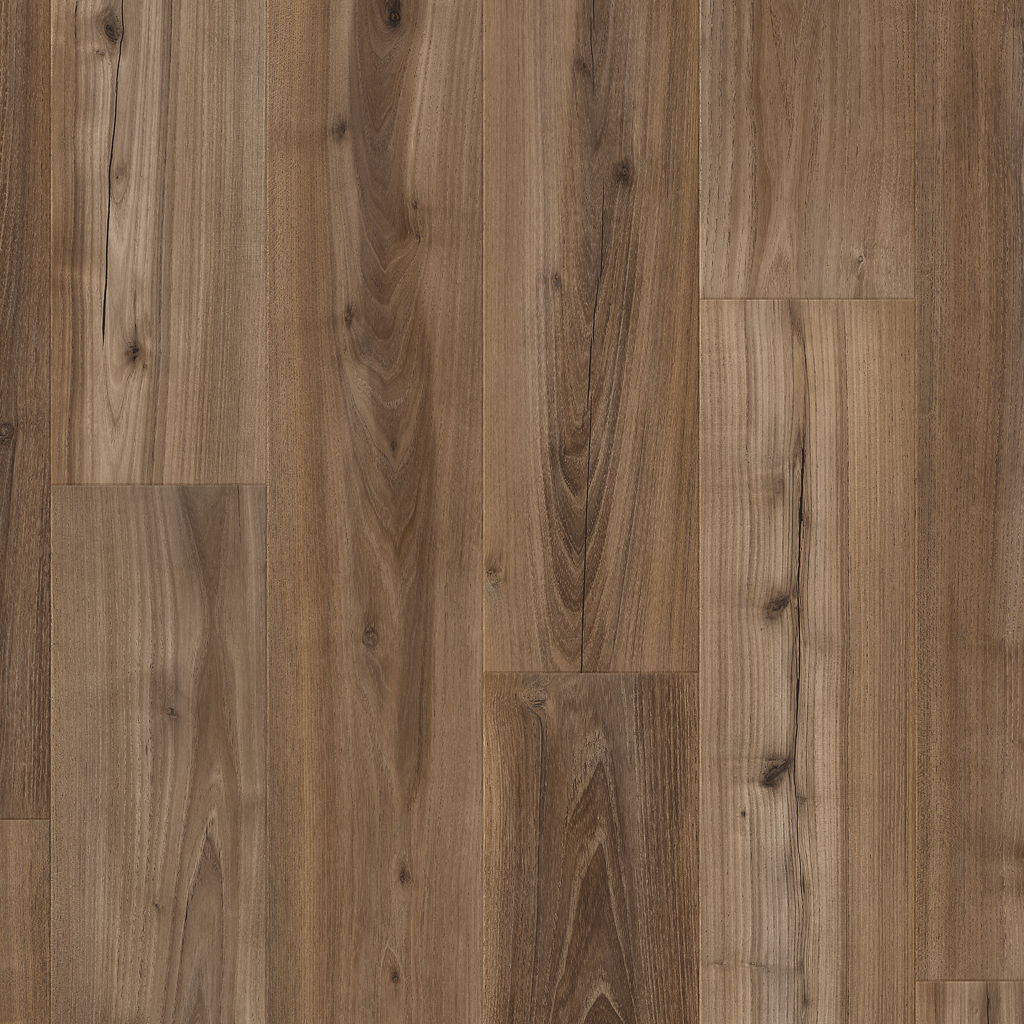 Dąb Śniady - Drammen