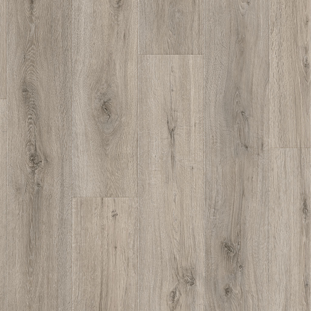 Dąb Dartmoor - Drammen