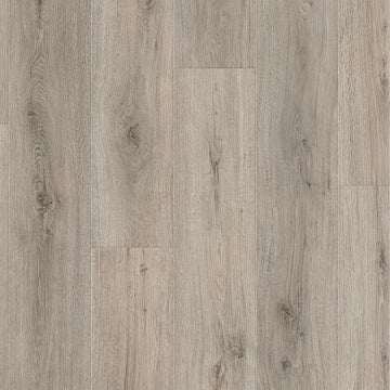 Dąb Dartmoor - Drammen