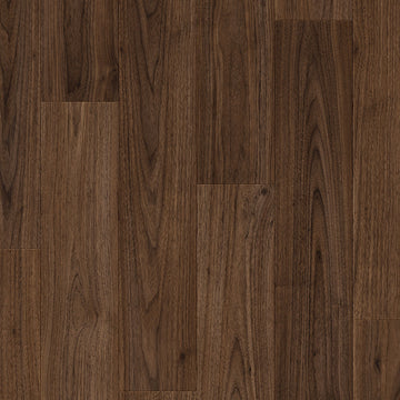 Dąb Portman - Bergen