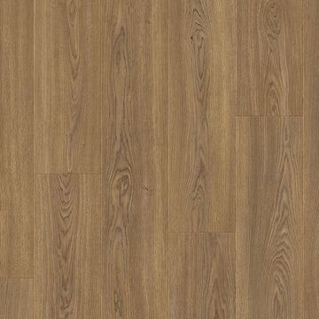 Dąb Ricard - Drammen