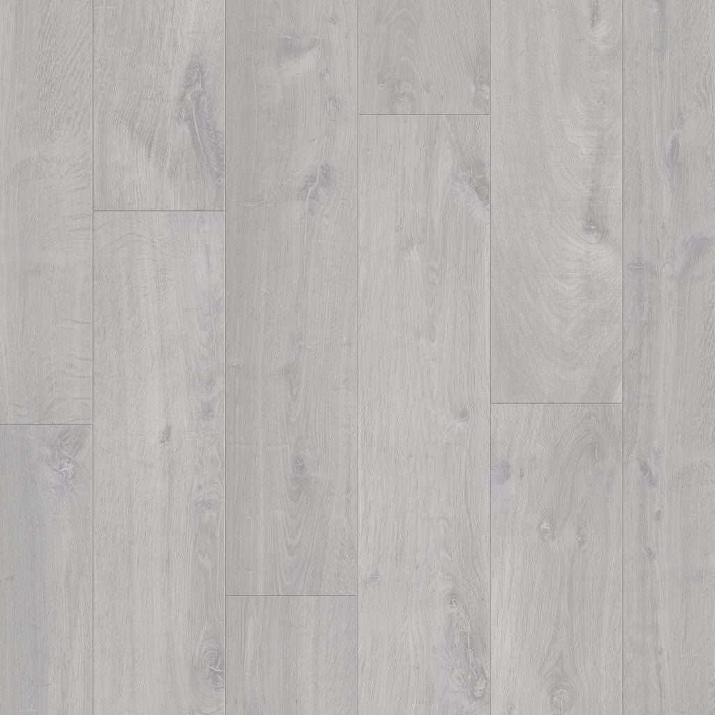 Dąb Szary Bielony - Visby pro