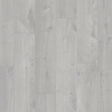 Dąb Szary Bielony - Visby pro