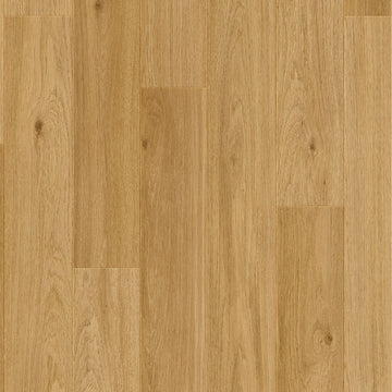 Dąb Koloński - Bergen pro