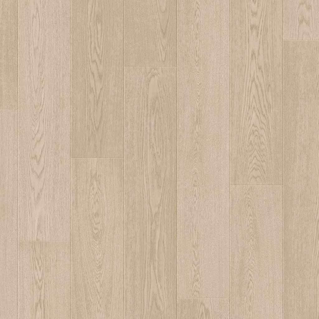 Dąb Skandynawski Piaskowy - Arendal