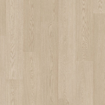 Dąb Skandynawski Piaskowy - Arendal