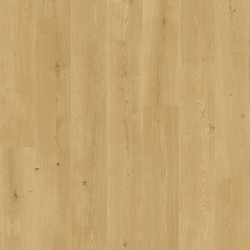 Dąb Przejrzysty - Odense pro