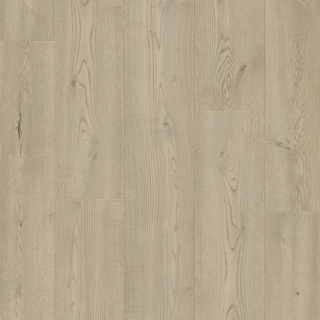 Dąb Vitaleta - Stavanger pro