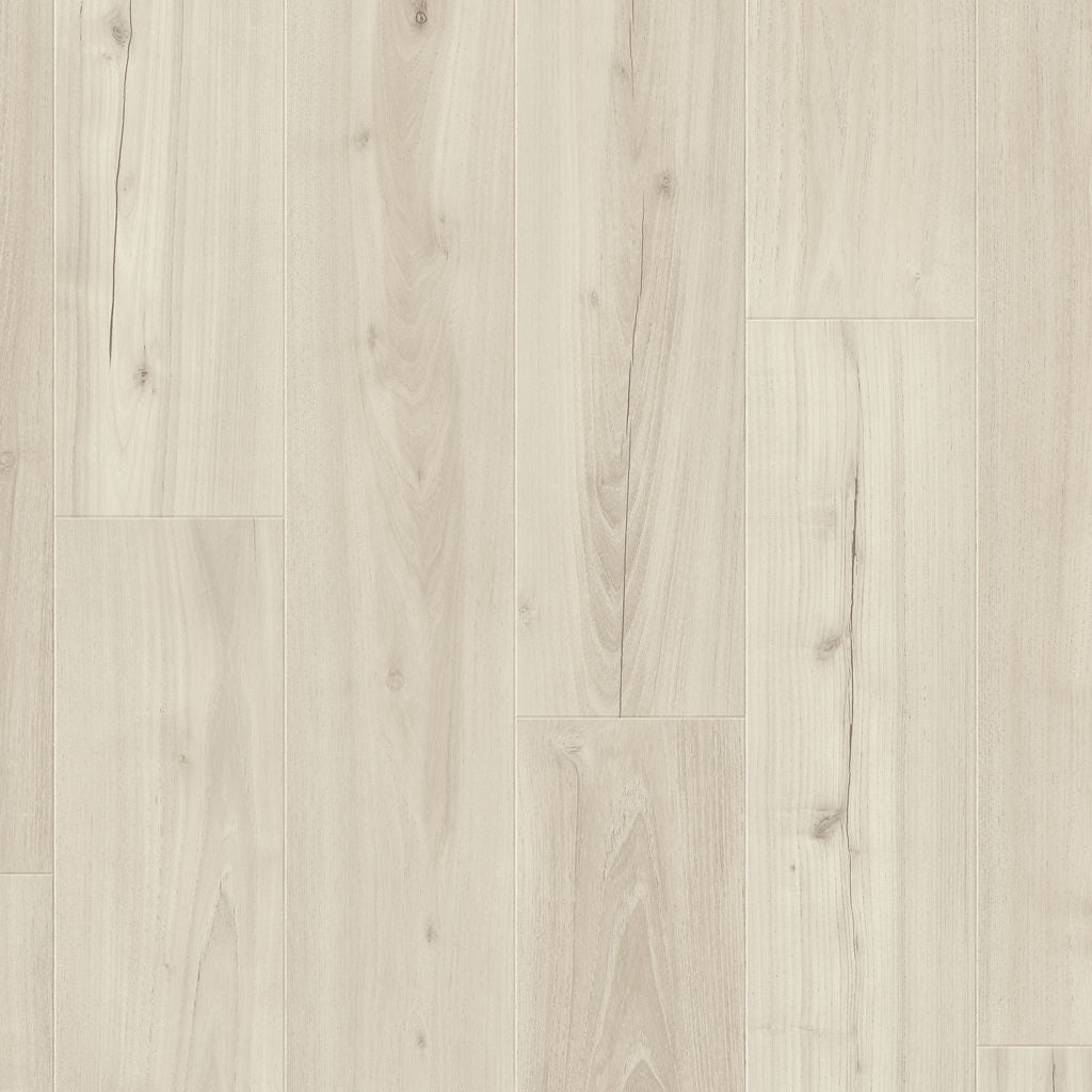 Dąb Biały Mrok - Drammen