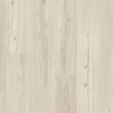 Dąb Biały Mrok - Drammen