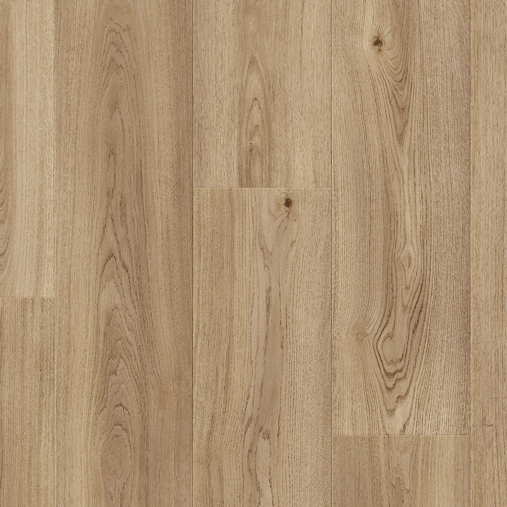 Dąb Klasztorny - Stavanger