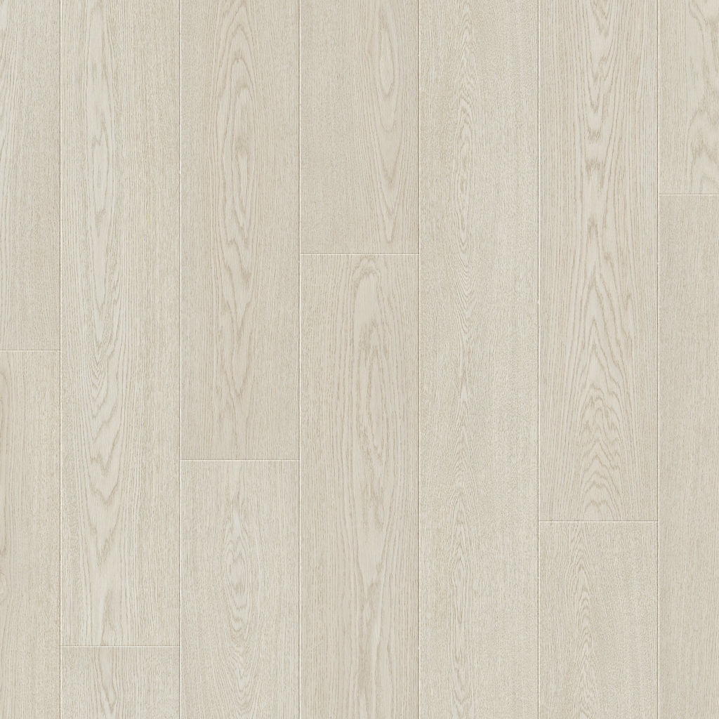 Dąb Przylądek Północny - Arendal