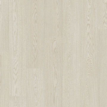 Dąb Przylądek Północny - Arendal