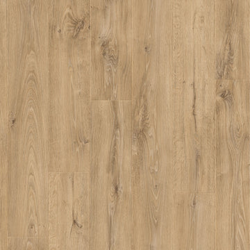 Dąb Wrzosowiskowy - Arendal pro