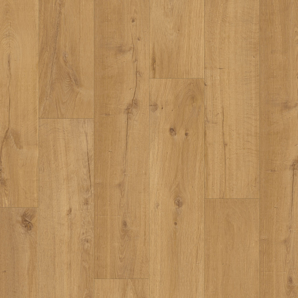 Dąb Wiejski - Visby pro