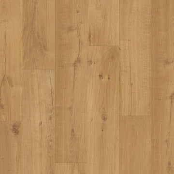 Dąb Wiejski - Visby pro