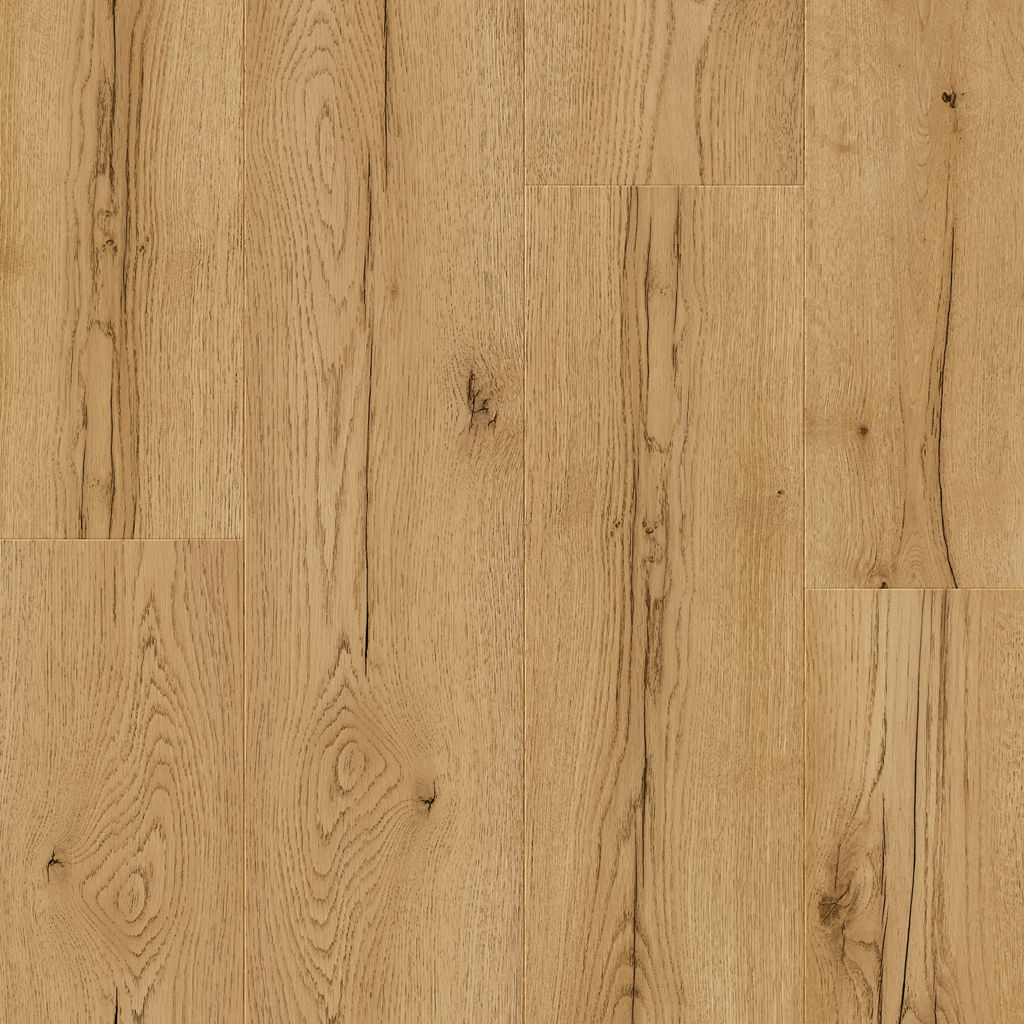 Dąb Dzikie Drzewo - Stavanger