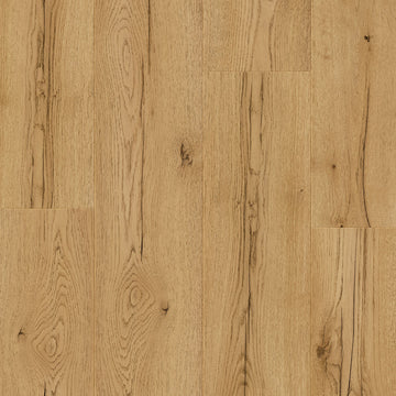 Dąb Dzikie Drzewo - Stavanger