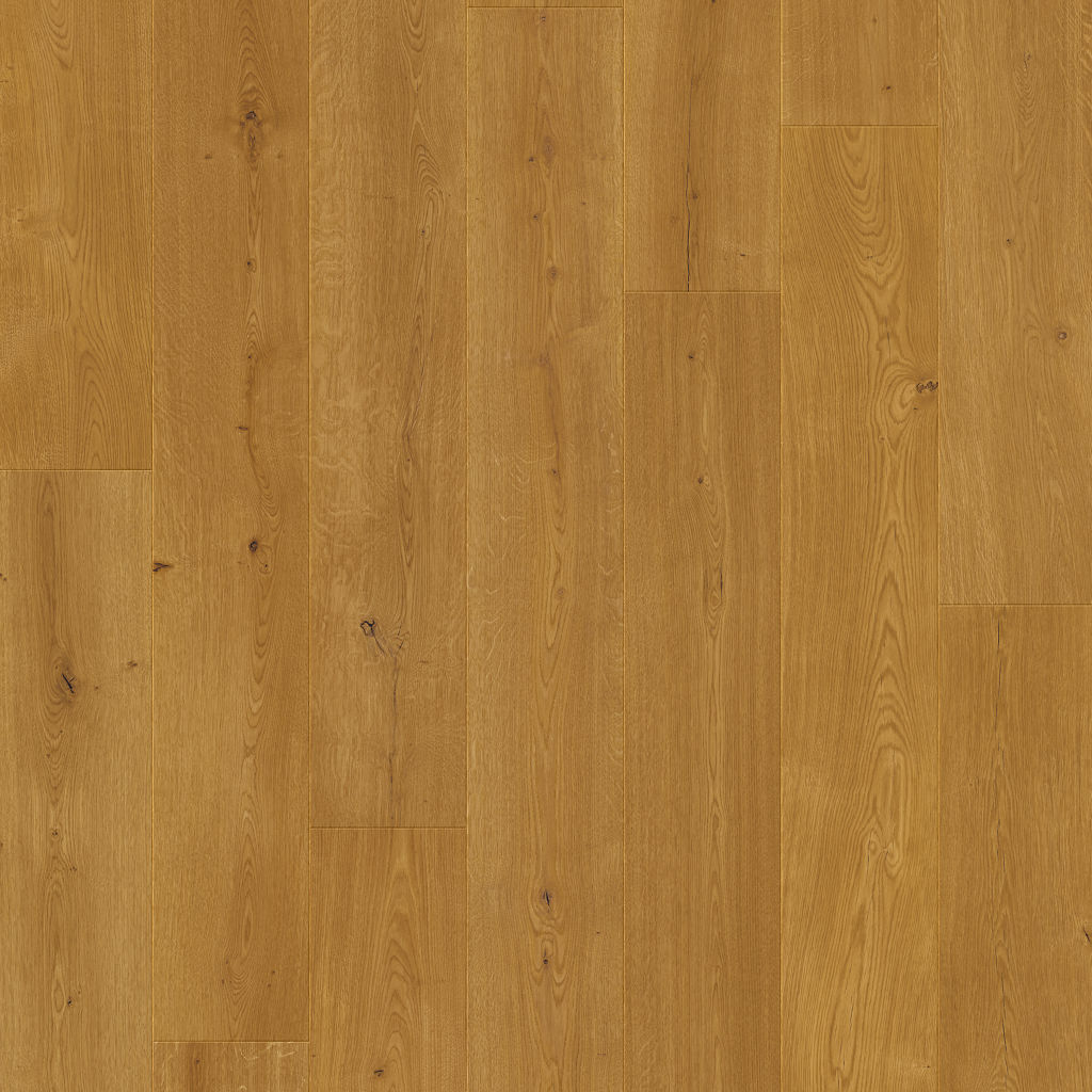 Dąb Zmierzch - Odense