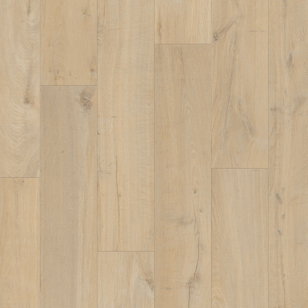 Dąb Nadmorski - Visby pro