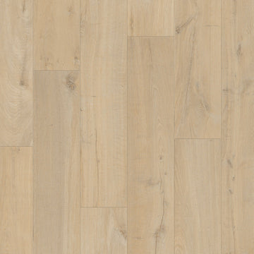 Dąb Nadmorski - Visby pro