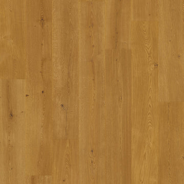 Dąb Zmierzch - Odense pro