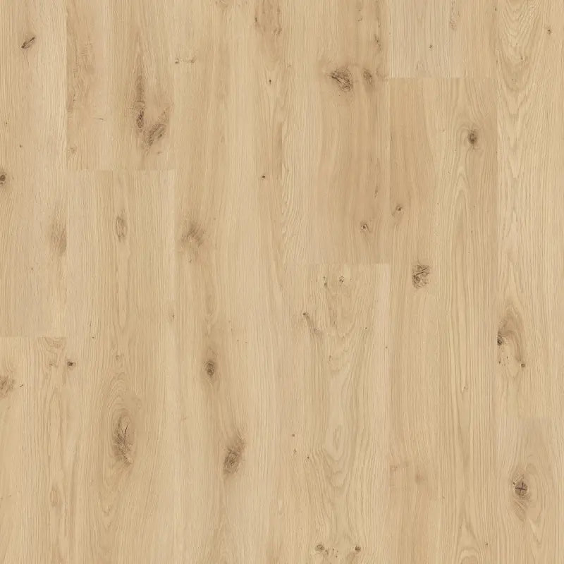 Magna Plus WR Dab Alva 04567