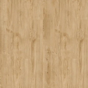 Magna Plus WR Dab Bragi