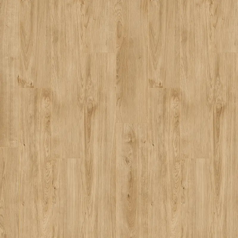 Magna Plus WR Dab Bragi